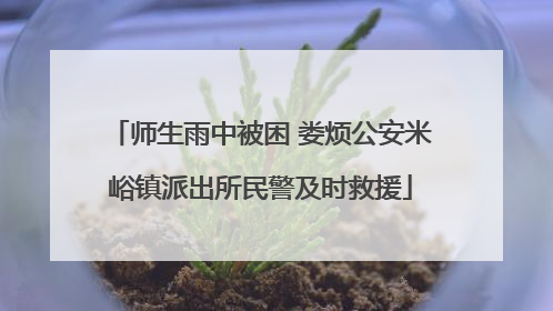 师生雨中被困 娄烦公安米峪镇派出所民警及时救援