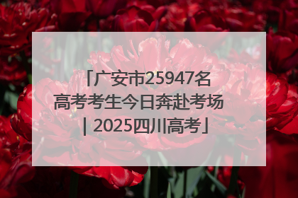 广安市25947名高考考生今日奔赴考场｜2025四川高考