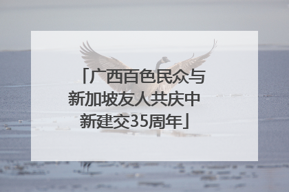 广西百色民众与新加坡友人共庆中新建交35周年