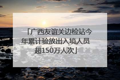 广西友谊关边检站今年累计验放出入境人员超150万人次