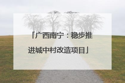 广西南宁：稳步推进城中村改造项目