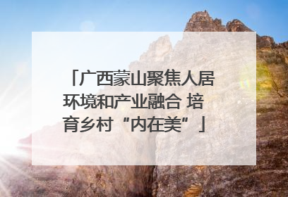 广西蒙山聚焦人居环境和产业融合 培育乡村“内在美”