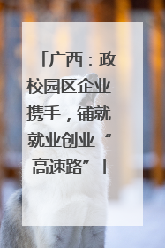 广西：政校园区企业携手，铺就就业创业“高速路”