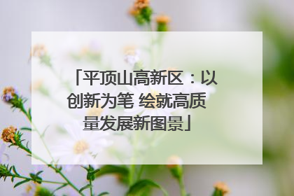 平顶山高新区：以创新为笔 绘就高质量发展新图景