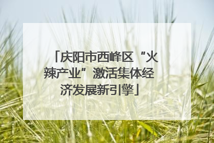 庆阳市西峰区“火辣产业”激活集体经济发展新引擎