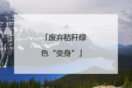 废弃秸秆绿色“变身”