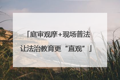 庭审观摩+现场普法 让法治教育更“直观”