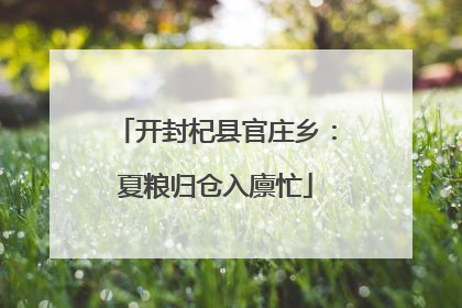 开封杞县官庄乡：夏粮归仓入廪忙