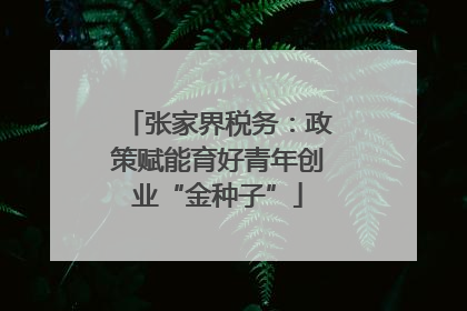 张家界税务：政策赋能育好青年创业“金种子”
