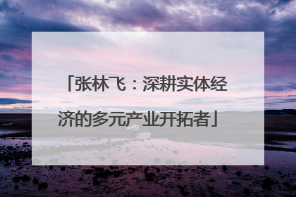 张林飞：深耕实体经济的多元产业开拓者