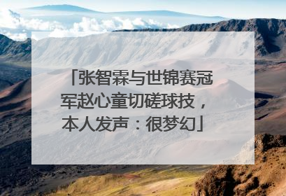 张智霖与世锦赛冠军赵心童切磋球技，本人发声：很梦幻