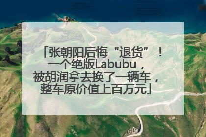 张朝阳后悔“退货”！一个绝版Labubu，被胡润拿去换了一辆车，整车原价值上百万元