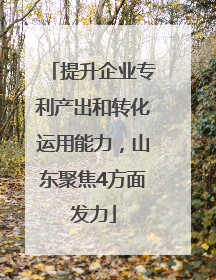 提升企业专利产出和转化运用能力，山东聚焦4方面发力