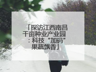 探访江西南昌千亩种业产业园：科技“加码” 果蔬飘香