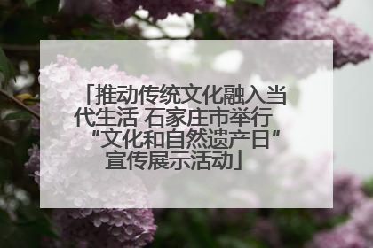 推动传统文化融入当代生活 石家庄市举行“文化和自然遗产日”宣传展示活动