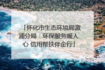 怀化市生态环境局溆浦分局：环保服务暖人心 信用帮扶伴企行