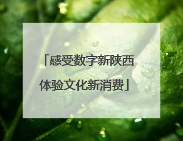 感受数字新陕西 体验文化新消费
