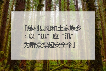 慈利县阳和土家族乡：以“迅”应“汛” 为群众撑起安全伞