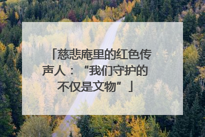 慈悲庵里的红色传声人：“我们守护的不仅是文物”