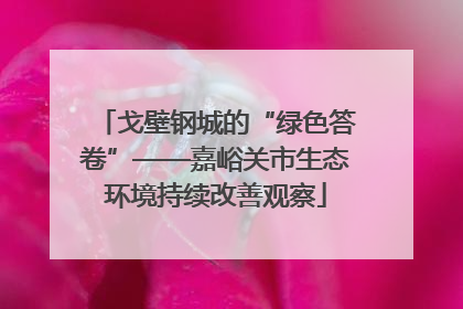 戈壁钢城的“绿色答卷”——嘉峪关市生态环境持续改善观察