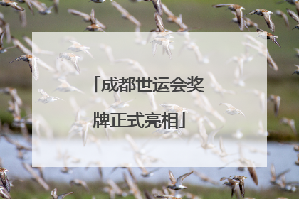成都世运会奖牌正式亮相