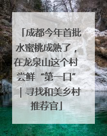 成都今年首批水蜜桃成熟了，在龙泉山这个村尝鲜“第一口”｜寻找和美乡村推荐官