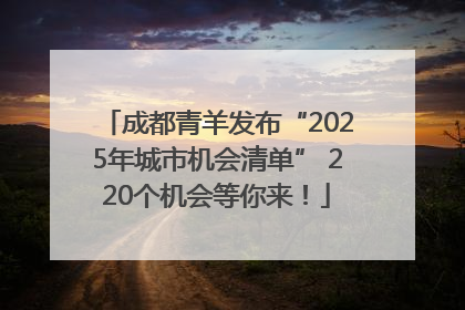 成都青羊发布“2025年城市机会清单” 220个机会等你来！