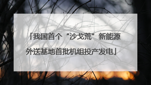 我国首个“沙戈荒”新能源外送基地首批机组投产发电