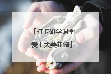 打卡研学课堂 爱上大美新疆