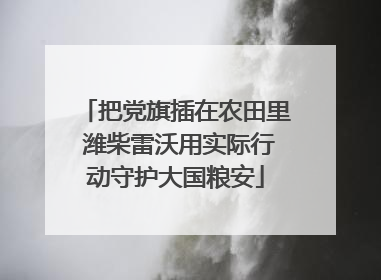 把党旗插在农田里 潍柴雷沃用实际行动守护大国粮安
