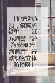护碧海净浪，筑蓝盾铁壁——浦东海警“沪海安澜·碧海蓝盾”行动织密立体防控网