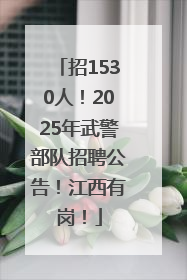 招1530人！2025年武警部队招聘公告！江西有岗！