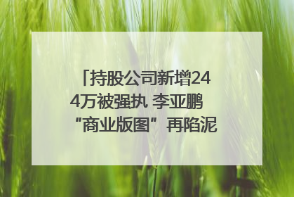 持股公司新增244万被强执 李亚鹏“商业版图”再陷泥潭？｜科技观察