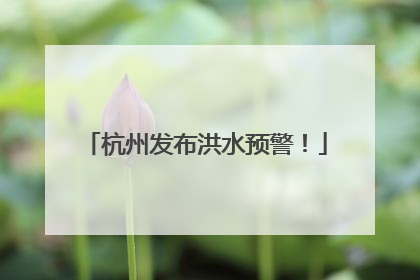 杭州发布洪水预警！
