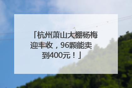 杭州萧山大棚杨梅迎丰收，96颗能卖到400元！