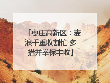 枣庄高新区：麦浪千重收割忙 多措并举保丰收