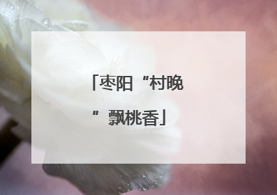枣阳“村晚”飘桃香