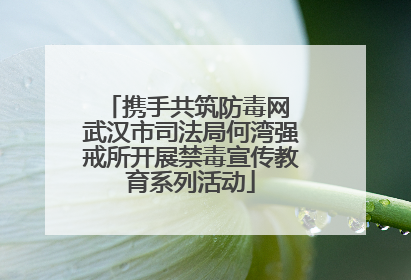 携手共筑防毒网 武汉市司法局何湾强戒所开展禁毒宣传教育系列活动