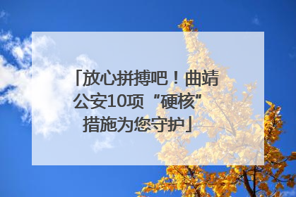 放心拼搏吧！曲靖公安10项“硬核”措施为您守护