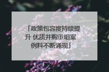 政策包容度持续提升 优质并购重组案例料不断涌现