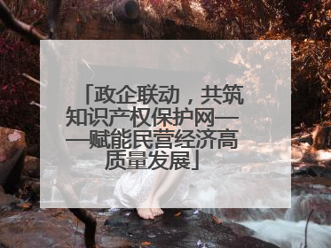 政企联动，共筑知识产权保护网——赋能民营经济高质量发展