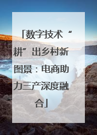 数字技术“耕”出乡村新图景:电商助力三产深度融合