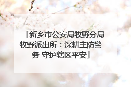 新乡市公安局牧野分局牧野派出所：深耕主防警务 守护辖区平安