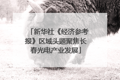 新华社《经济参考报》区域头题聚焦长春光电产业发展