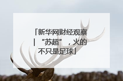 新华网财经观察｜“苏超”，火的不只是足球
