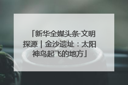 新华全媒头条·文明探源｜金沙遗址：太阳神鸟起飞的地方