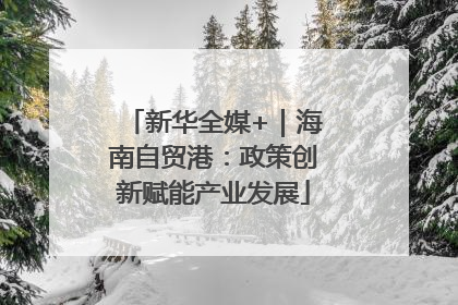 新华全媒+｜海南自贸港：政策创新赋能产业发展