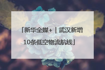 新华全媒+｜武汉新增10条低空物流航线