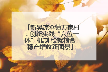 新晃凉伞镇万家村：创新实践“六位一体”机制 绘就粮食稳产增收新图景