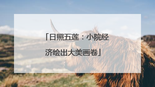 日照五莲：小院经济绘出大美画卷